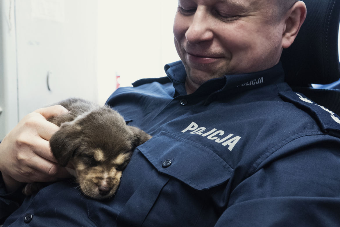 Maleńkie szczeniaczki były bliskie śmierci. Policjanci z Nowego Dworu Gdańskiego pokazali wielkie serca