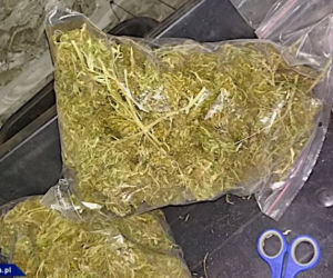 SKOK STULECIA w Tuchomiu: Rozpruli sejf i ukradli MILIONY W GOTÓWCE