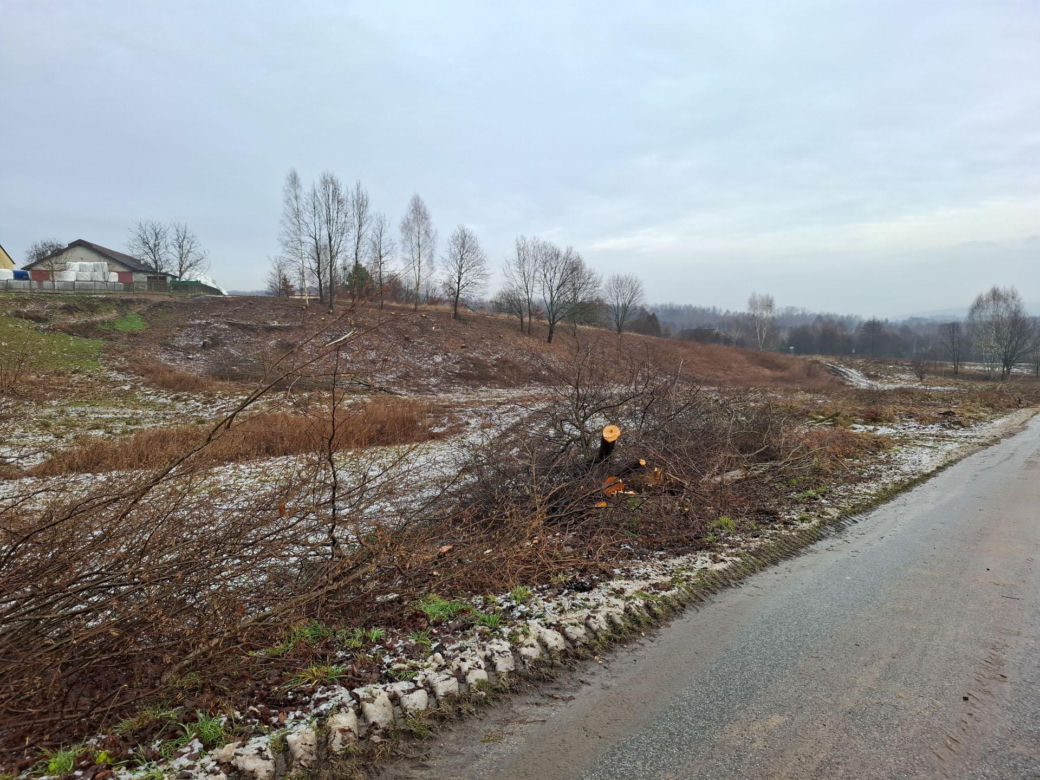 Przygotowania do budowy S74 Mniów - Kielce