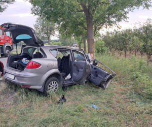 Dramat na DK78. Chwila nieuwagi, huk i walka o życie 3-latka w zmiażdżonym aucie