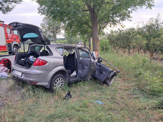 Dramat na DK78. Chwila nieuwagi, huk i walka o życie 3-latka w zmiażdżonym aucie