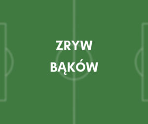 Zryw Bąków
