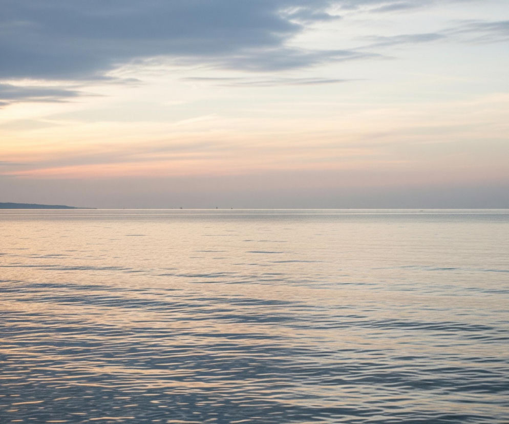 Spokojna tafla wody zajmuje dolną połowę obrazu, z delikatnymi falami odbijającymi światło w odcieniach złocistego różu i bladego błękitu. Horyzont przecina widok, a nad nim rozpościera się szerokie niebo w odcieniach szarości, różu i pomarańczu, z licznymi chmurami. W oddali po lewej stronie majaczy ciemny zarys lądu, a na horyzoncie widoczne są drobne sylwetki obiektów.