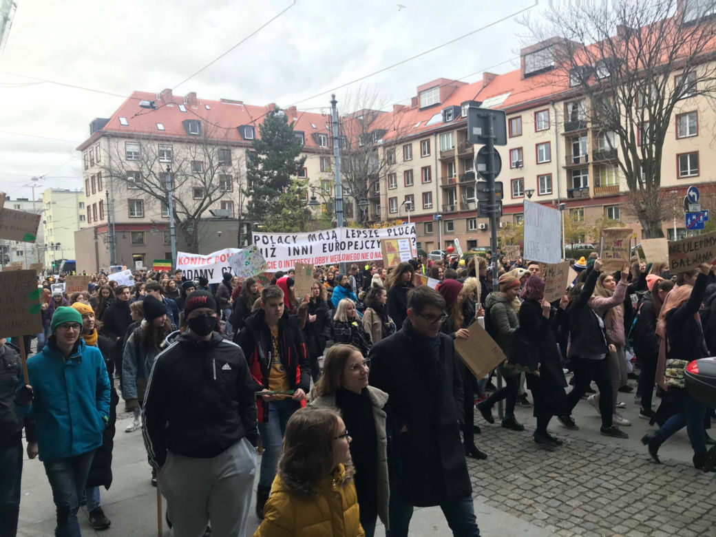 Manifestacja w obronie klimatu