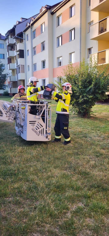 Mały kotek był uwięziony w rynnie na dachu! Na miejsce wezwano strażaków [ZDJĘCIA]