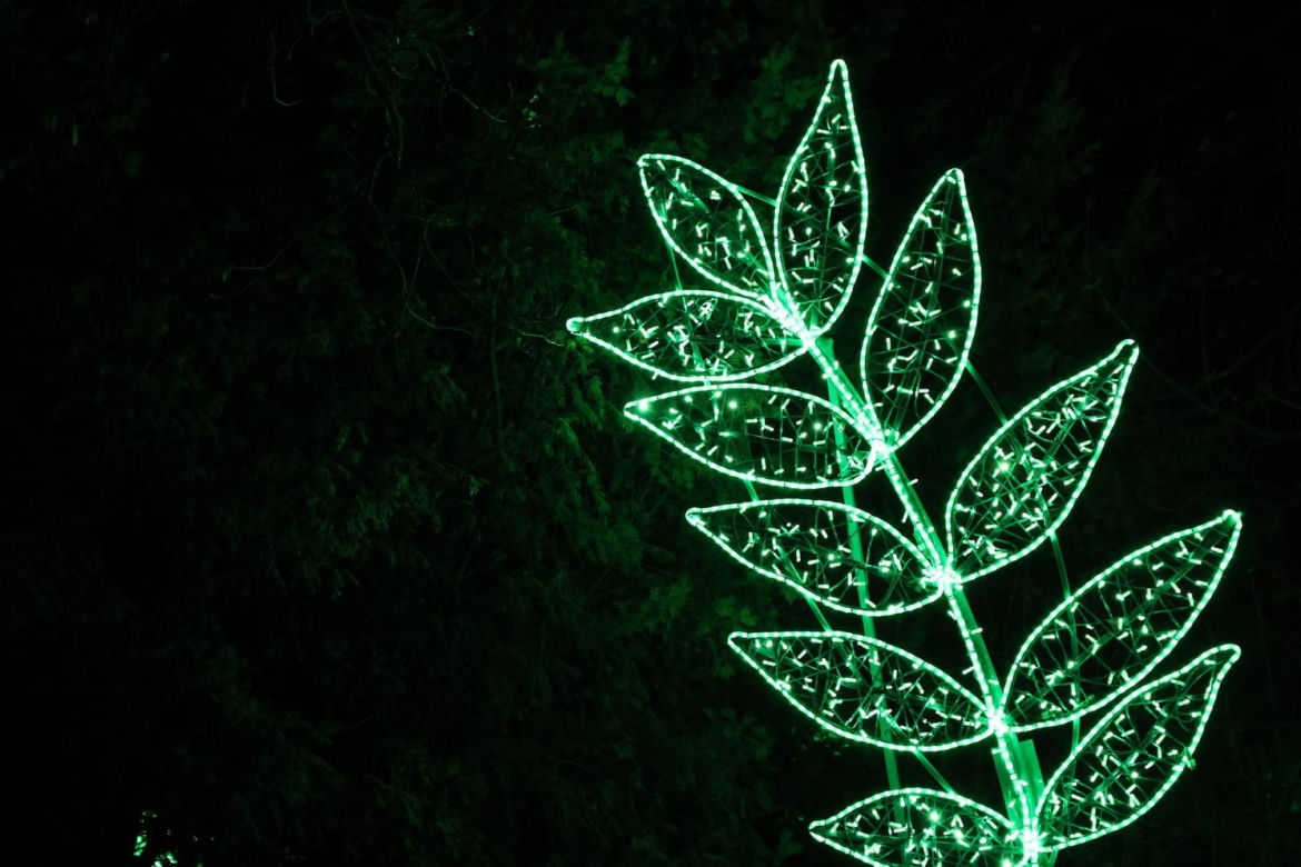 Park iluminacji 2023 w Lublinie