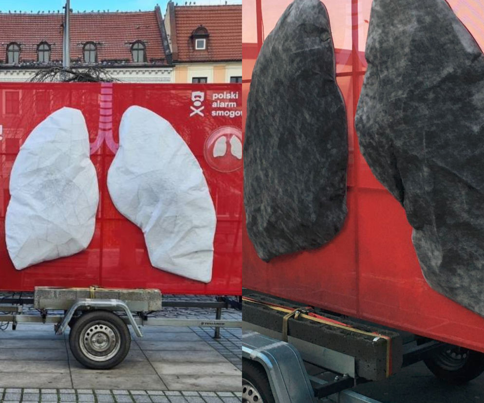 Sosnowiec: W centrum miasta pojawiły się białe mobilne płuca. Po tygodniu zrobiły się czarne. Takie mamy powietrze [ZDJĘCIA]
