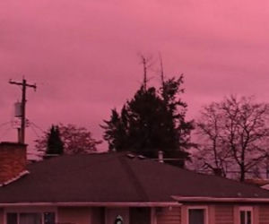 Różowa mgła nad Europą! Meteorolodzy mają wyjaśnienie