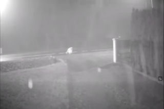 Dramat pod Krakowem. Seniorka czołgała się po jezdni, minęło ją kilkanaście samochodów