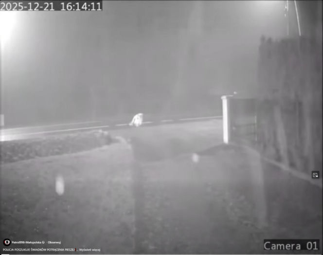 Dramat pod Krakowem. Seniorka czołgała się po jezdni, minęło ją kilkanaście samochodów