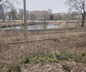 8 lat bez tramwajów na Babiej Wsi. Torowisko w ruinie!