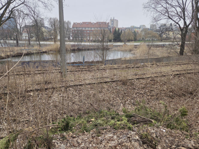 8 lat bez tramwajów na Babiej Wsi. Torowisko w ruinie!