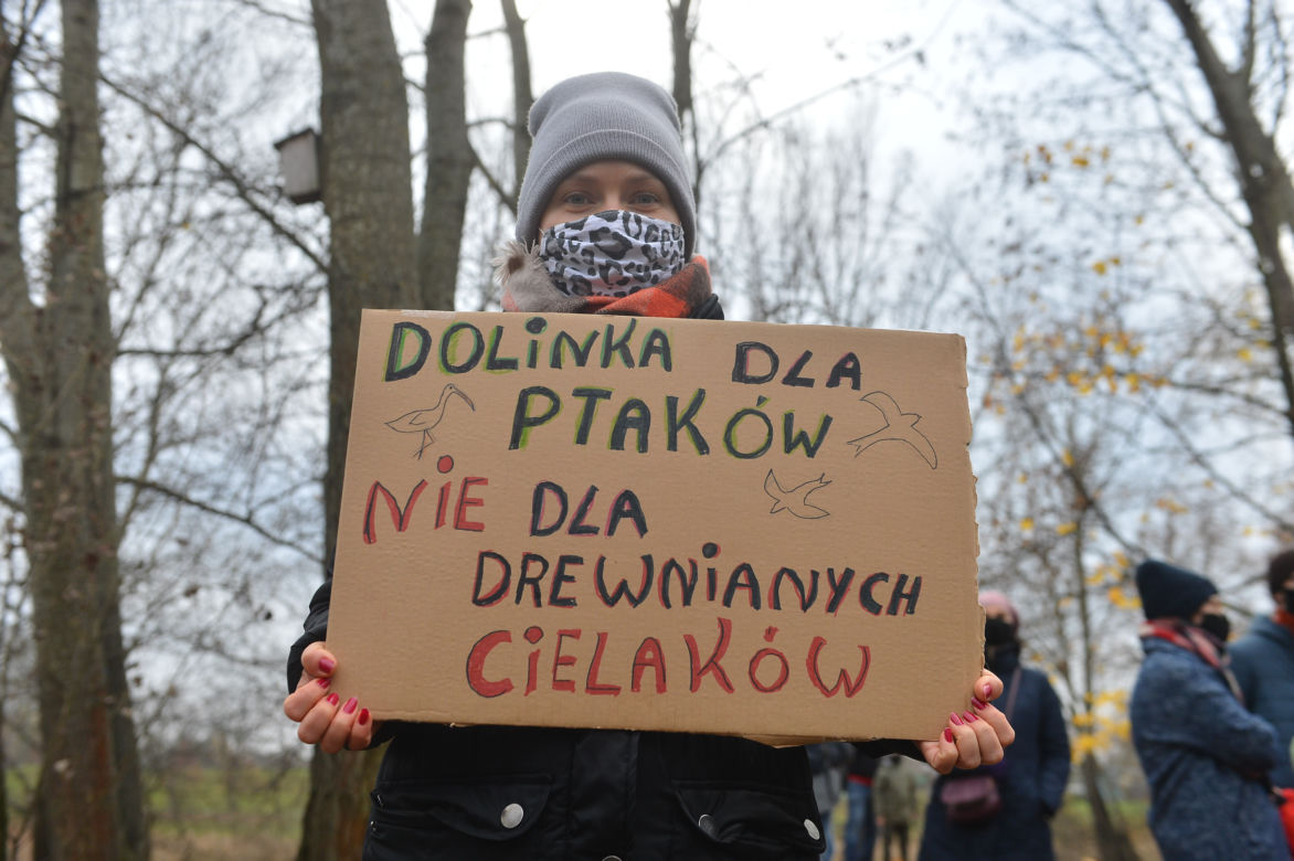 Protest przeciwko inwestycji w parku Dolinka Służewiecka