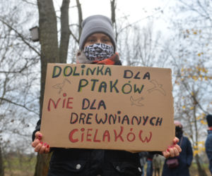 Protest przeciwko inwestycji w parku Dolinka Służewiecka