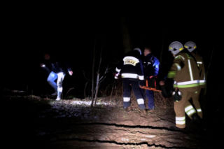 Szczeniak uratował życie swojemu właścicielowi pod Skierniewicami