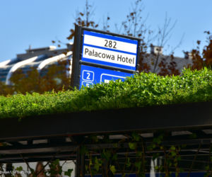 Zielone przystanki w Białymstoku nagrodzone w plebiscycie Polska Architektura XXL 2019
