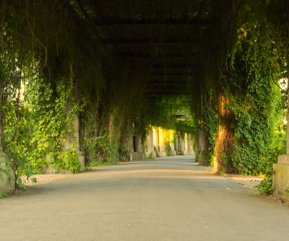 Pergola jest jednym z ulubionych miejsc do spacerów wrocławian