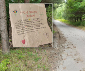 Przy DK 91 znaleźli stoisko z jagodziankami