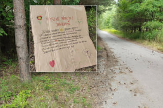 Przy DK 91 znaleźli stoisko z jagodziankami