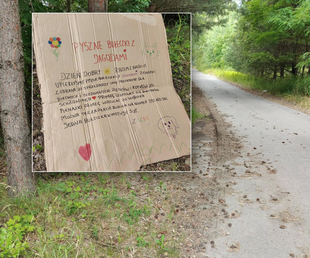 Zuzia sprzedaje jagodzianki przy DK91. Pieniądze z bułeczek trafią do schroniska