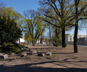 Od dziś otwarte lasy i parki. Ale parki Heermanna i Jonstona wciąż ogrodzone