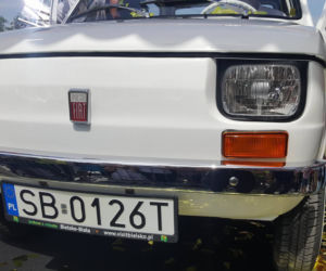maluch dla Toma Hanksa