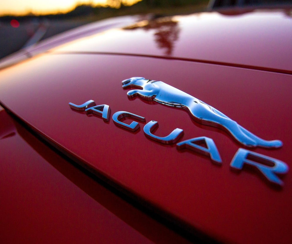 Jaguar, znaczek Jaguar, fabryka