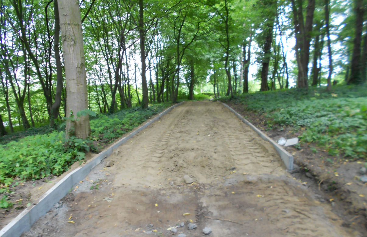 Zaniedbany stary cmentarz przy ul. Ostrowskiej zmienia się w piękny park