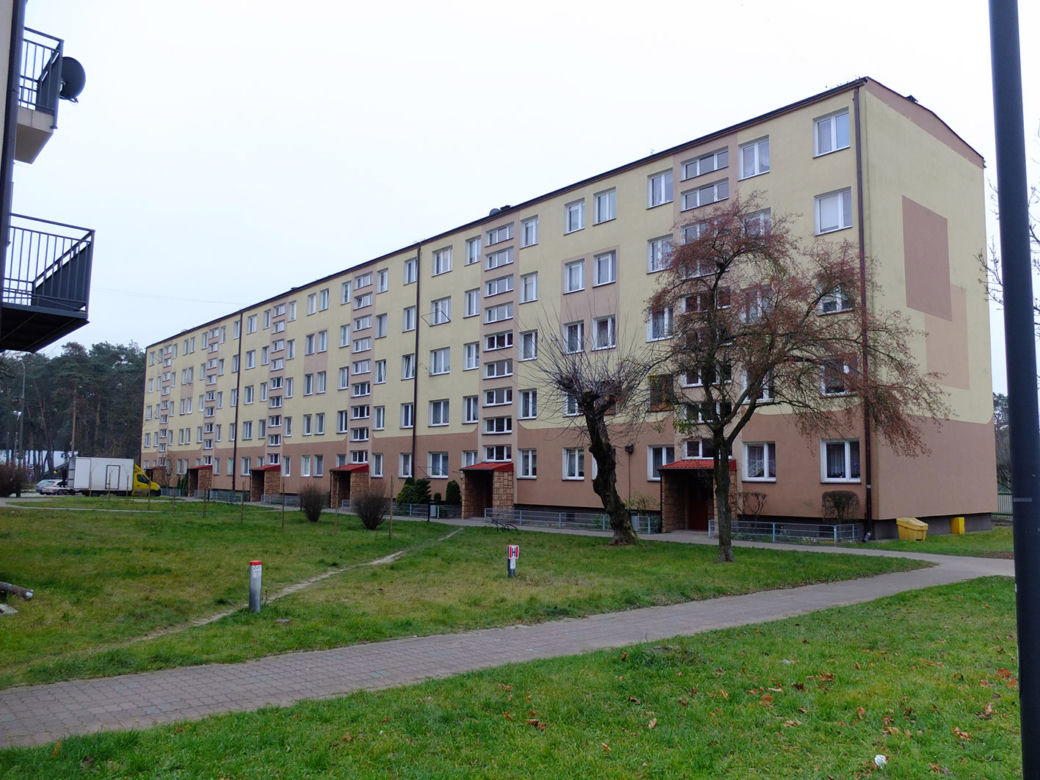 Zabił Dominikę bo go rzuciła