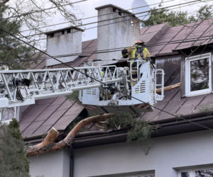 Interwencje Strażaków przy likwidacji szkód spowodowanych przez gwałtowny wiatr i burze