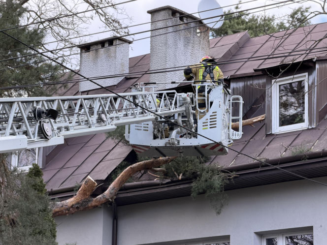 Interwencje Strażaków przy likwidacji szkód spowodowanych przez gwałtowny wiatr i burze