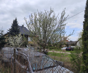 Oskarżeni przejście majątku stanęli przez sądem