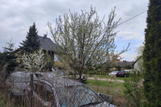 Oskarżeni przejście majątku stanęli przez sądem