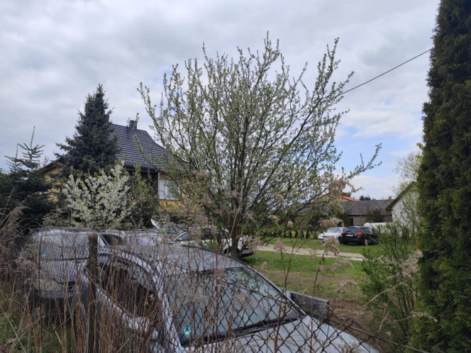 Oskarżeni przejście majątku stanęli przez sądem