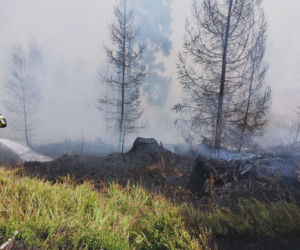 Pożar w Tatrach Wysokich! Ogień trawi las, trudny teren komplikuje akcję strażaków