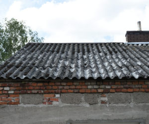 Nasz nowy dom: Bez wody, łazienki i toalety, odc. 8