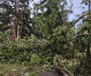 Potężna wichura w Wielkopolsce! Zerwane dachy, powalone drzewa i ogromne zniszczenia