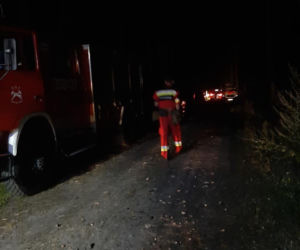 Zaginęła Grażyna Ciesielska, która wyszła na grzyby w Samociążku. Trwają poszukiwania kobiety