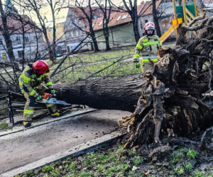 Wichura na Dolnym Śląsku. Uszkodzone dachy, powalone drzewa. Ponad 300 interwencji straży