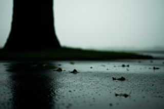 Wypadek w Rybniku. Nie żyją dwie osoby. Co doprowadziło do tragedii?