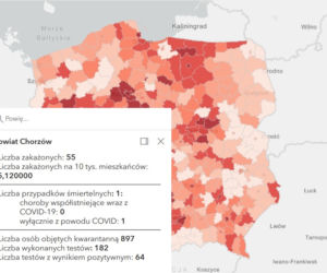 Koronawirus w województwie śląskim. Tak wygląda sytuacja w poszczególnych powiatach [RAPORT, 19 MARCA]