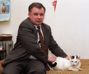 Wszystkie koty Jarosława Kaczyńskiego 