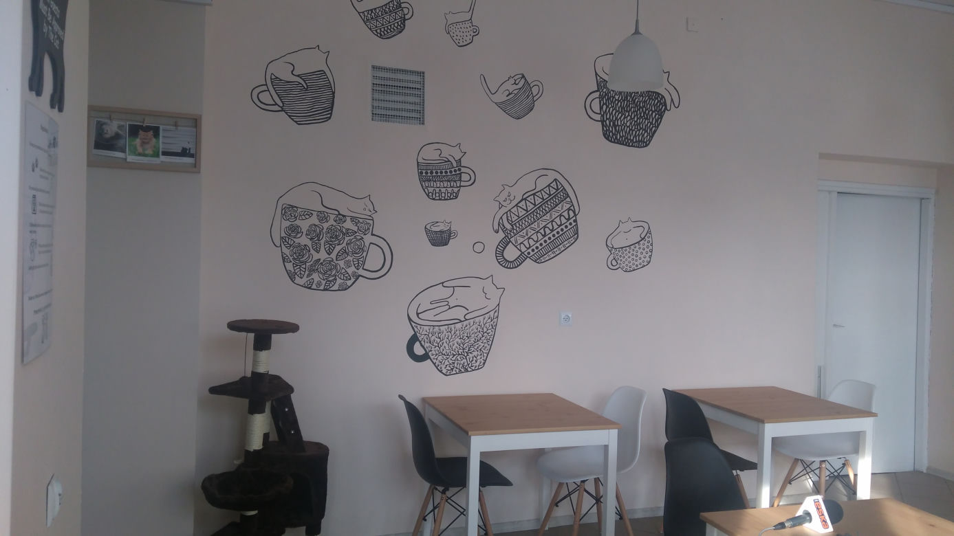 Kot Cafe
