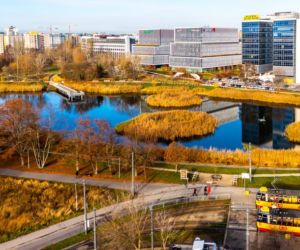 To najpiękniejsza pętla tramwajowa w Warszawie? Kiedyś smród i śmieci, dziś woda i ptaki