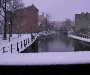 Bydgoszcz w śniegu
