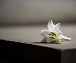 Poseł Łukasz Krasoń w żałobie. Kim była jego ukochana Danuta?