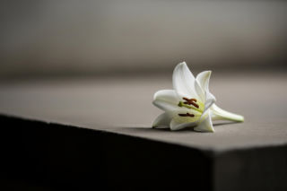 Poseł Łukasz Krasoń w żałobie. Kim była jego ukochana Danuta?