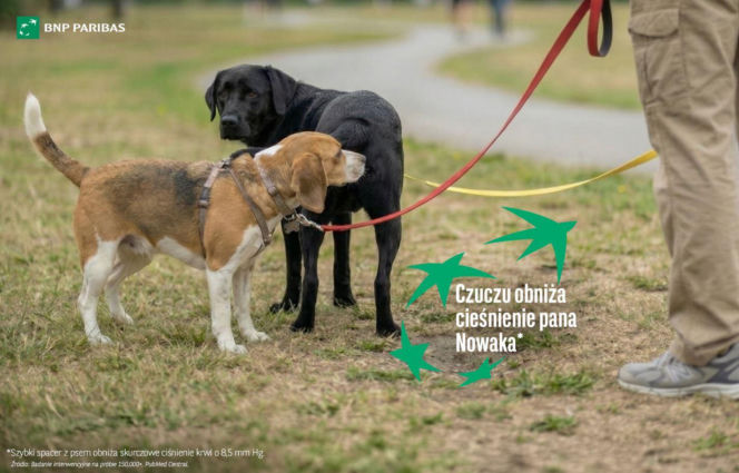 Mastercard i Bank BNP Paribas przypominają o karcie Pupil