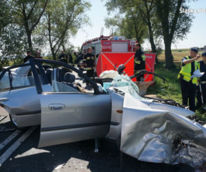 Śmiertelny wypadek na DW 416. Kierowca zginął na miejscu [ZDJĘCIA]