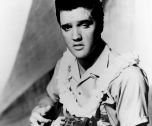 Elvis